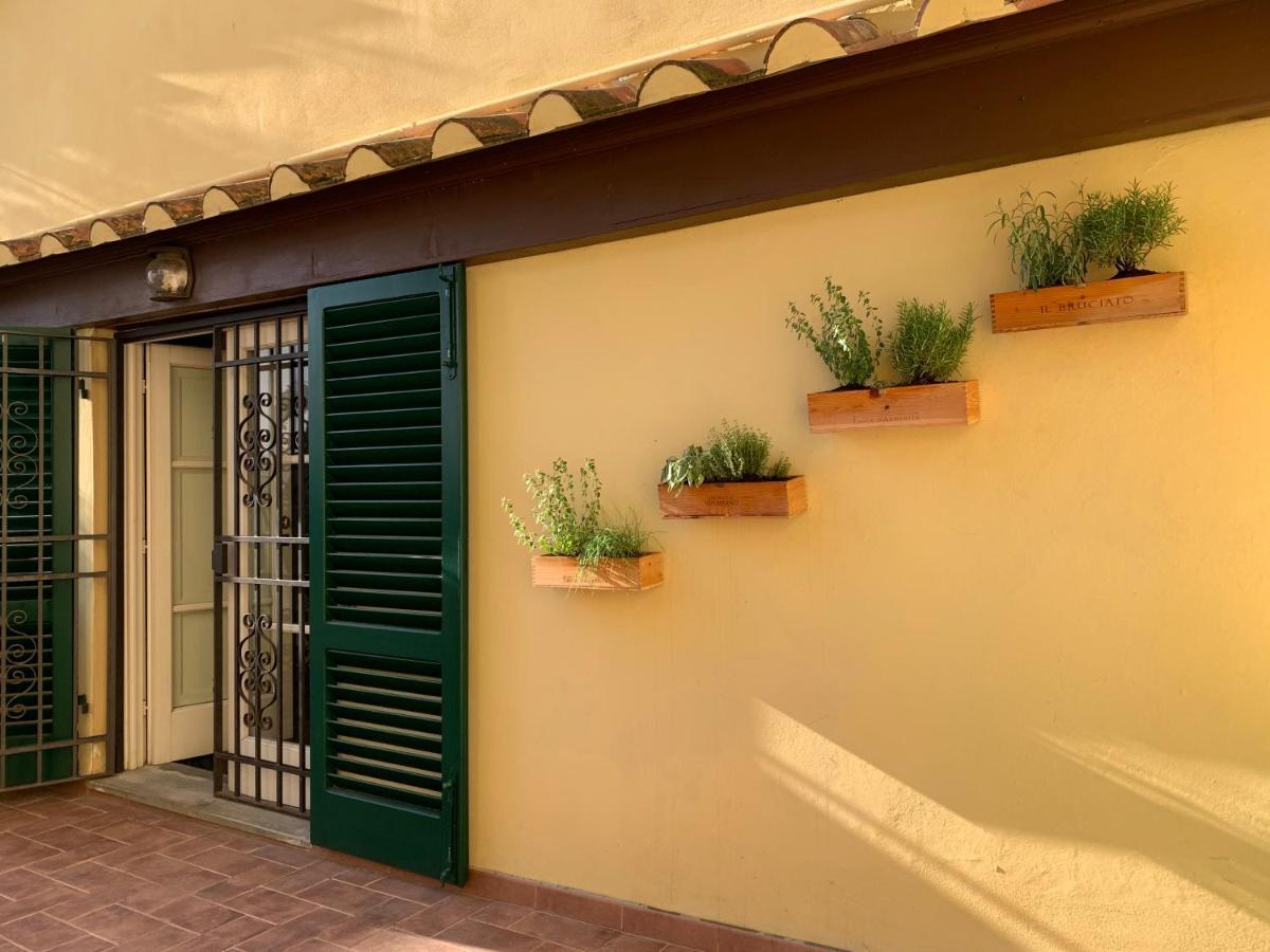 La Terrazza Di Via Elisa Alojamento de Acomodação e Pequeno-almoço 2*